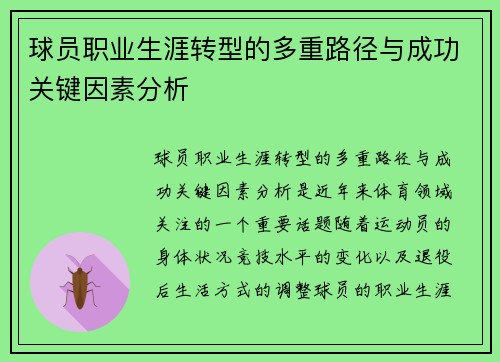 球员职业生涯转型的多重路径与成功关键因素分析 球员职业生涯转型的多重路径与成功关键因素分析